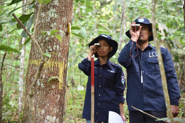 Link to Terrestrial Carbon Accounting Courses in China and Indonesia
