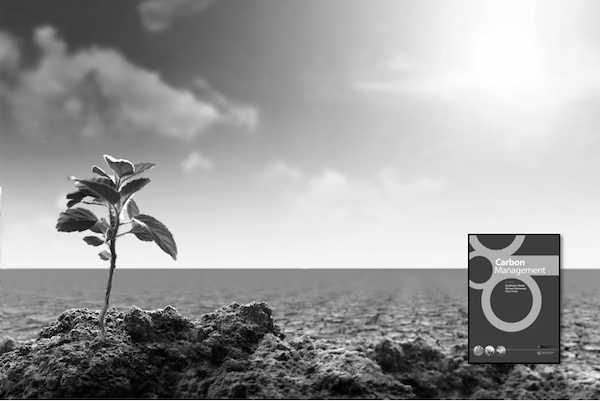 Link to Quantifying carbon for agricultural soil management: from the current status toward a global soil information system