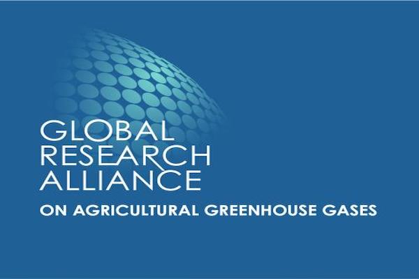 Link to CALL FOR APPLICATIONS CLIFF-GRADS SCHOLARSHIP
