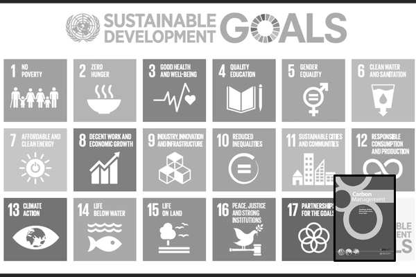 Link to Synchronizing carbon mitigation and the Sustainable Development Goals
