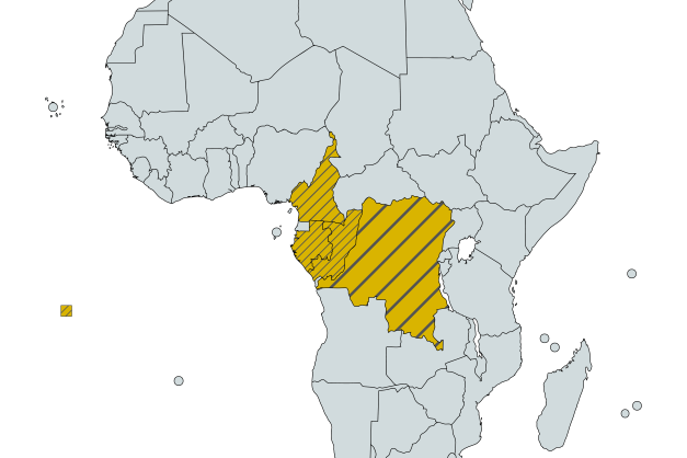Link to Enhancing GHG MRV expertise in Central Africa