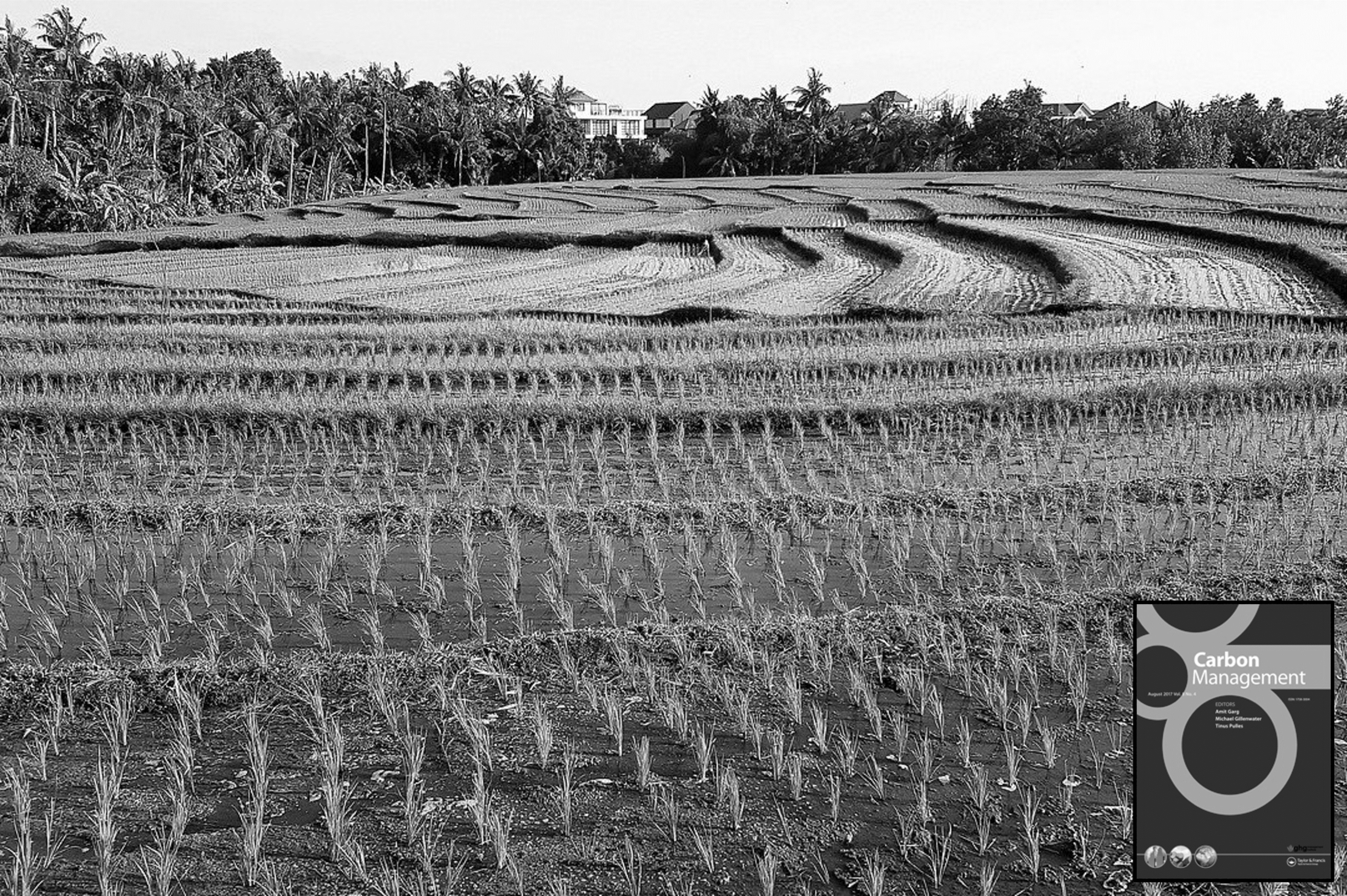 Link to A novel approach for mapping methane mitigation potential in rice production