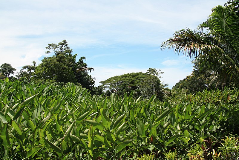 Link to Capacity Building Modules for Agriculture and Forest Sector ICAT Assessment Guides