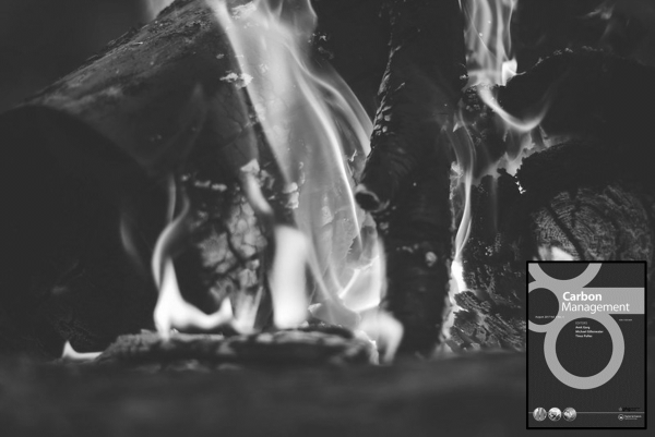 Link to CO2 emissions from biomass combustion – accounting under the UNFCCC
