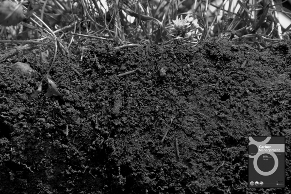 Link to Policy challenges to enhance soil carbon sinks: U.S. contributions to the Paris agreement