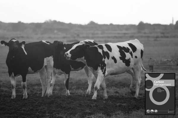 Link to Methodological progress in the measurement of agricultural greenhouse gases