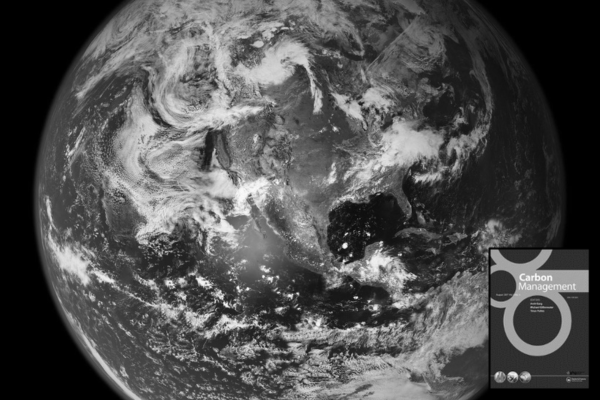 Link to Demystifying carbon removals in the context of offsetting for sub-global net-zero targets