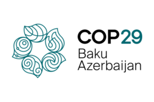 COP29 Logo