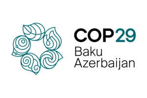 COP29 Logo