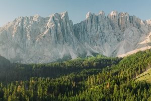 A jagged mountain range sits in front of a blue sky and above a hill forested with evergreen trees.