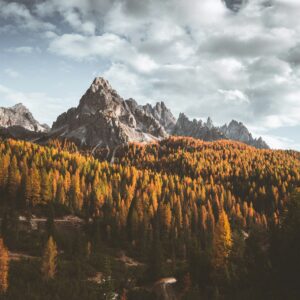 Trees with colorful leaves stand in front of an impressive mountain range in Italy.