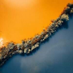 Contrasting orange and blue water is separated by a line of trees going diagonally across the image.