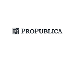 Propublic's logo, which has a "P" within a magnifying glass next to lettering, all against a white background.