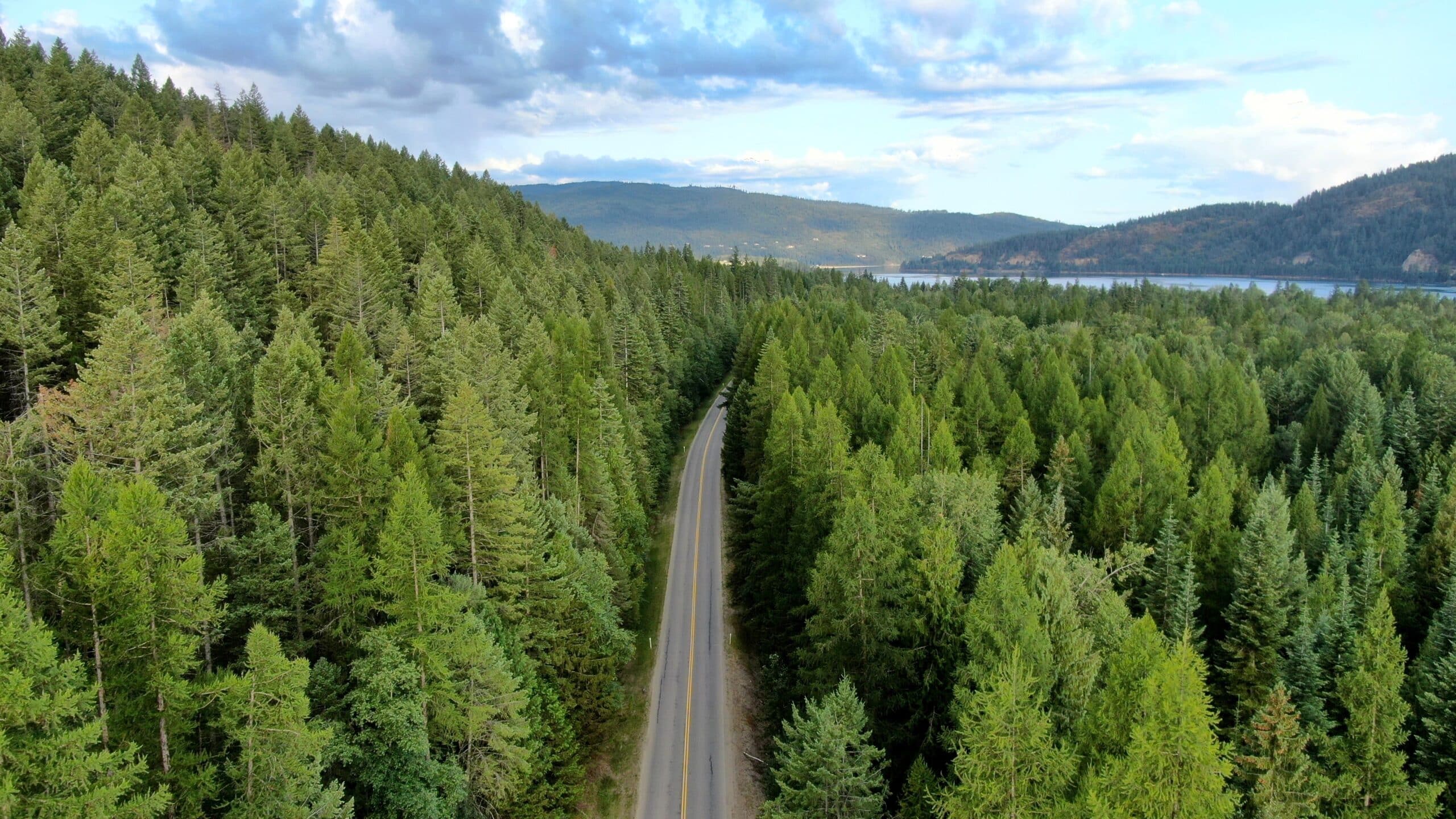 Link to How a GHGMI Team Member Helped Strengthen Washington’s Forest Carbon Protocol